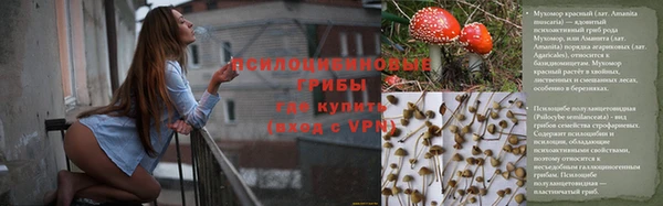 apvp Абаза