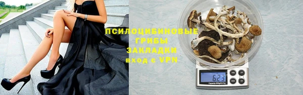 apvp Абаза