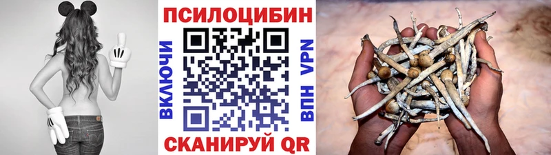 Галлюциногенные грибы мицелий  Никольск 